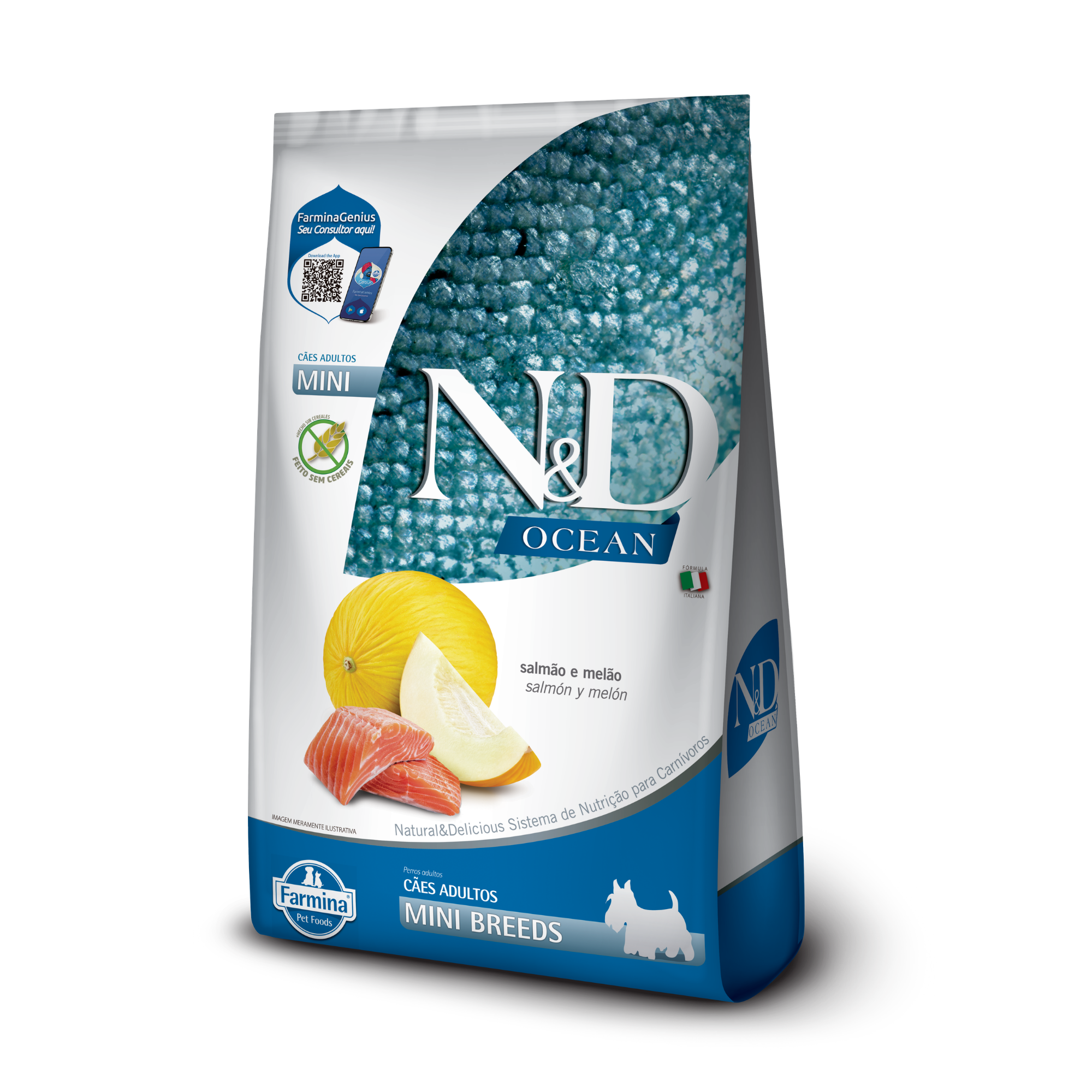 N&D Ocean Cão Adulto Salmão Mini e Pequeno